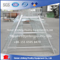 China Fornecedor Fábrica Henan Jinfeng Design Layer Cage